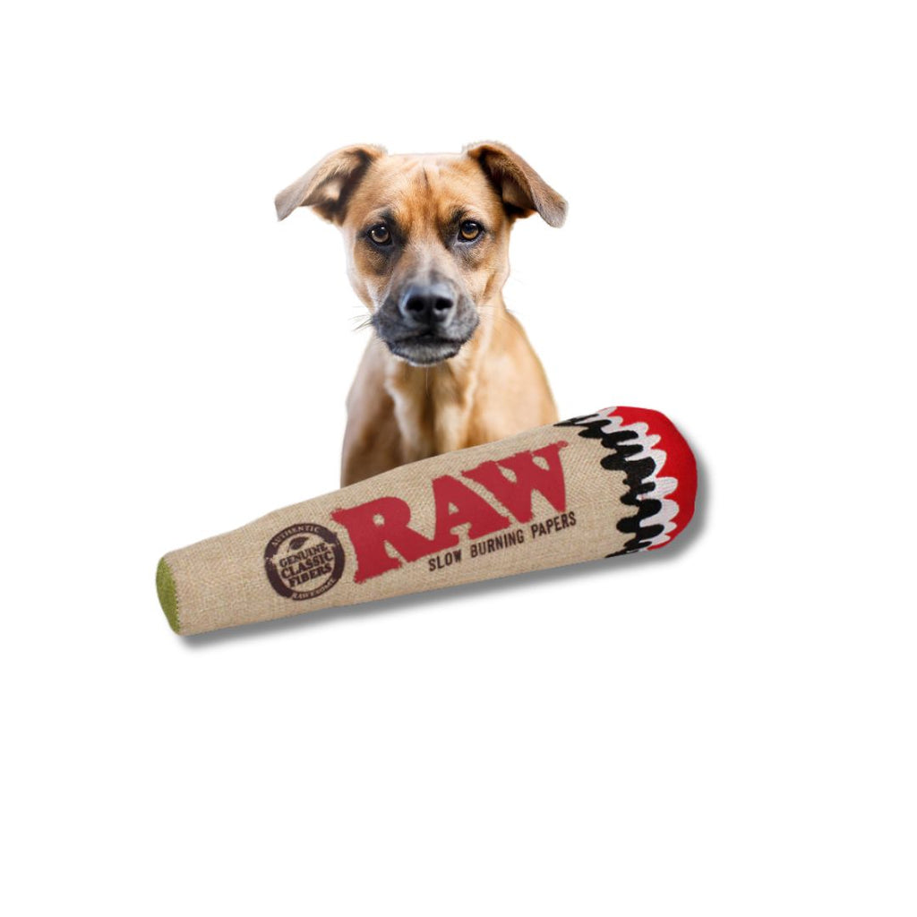 RAW Squeezy Cone Doggy Toy