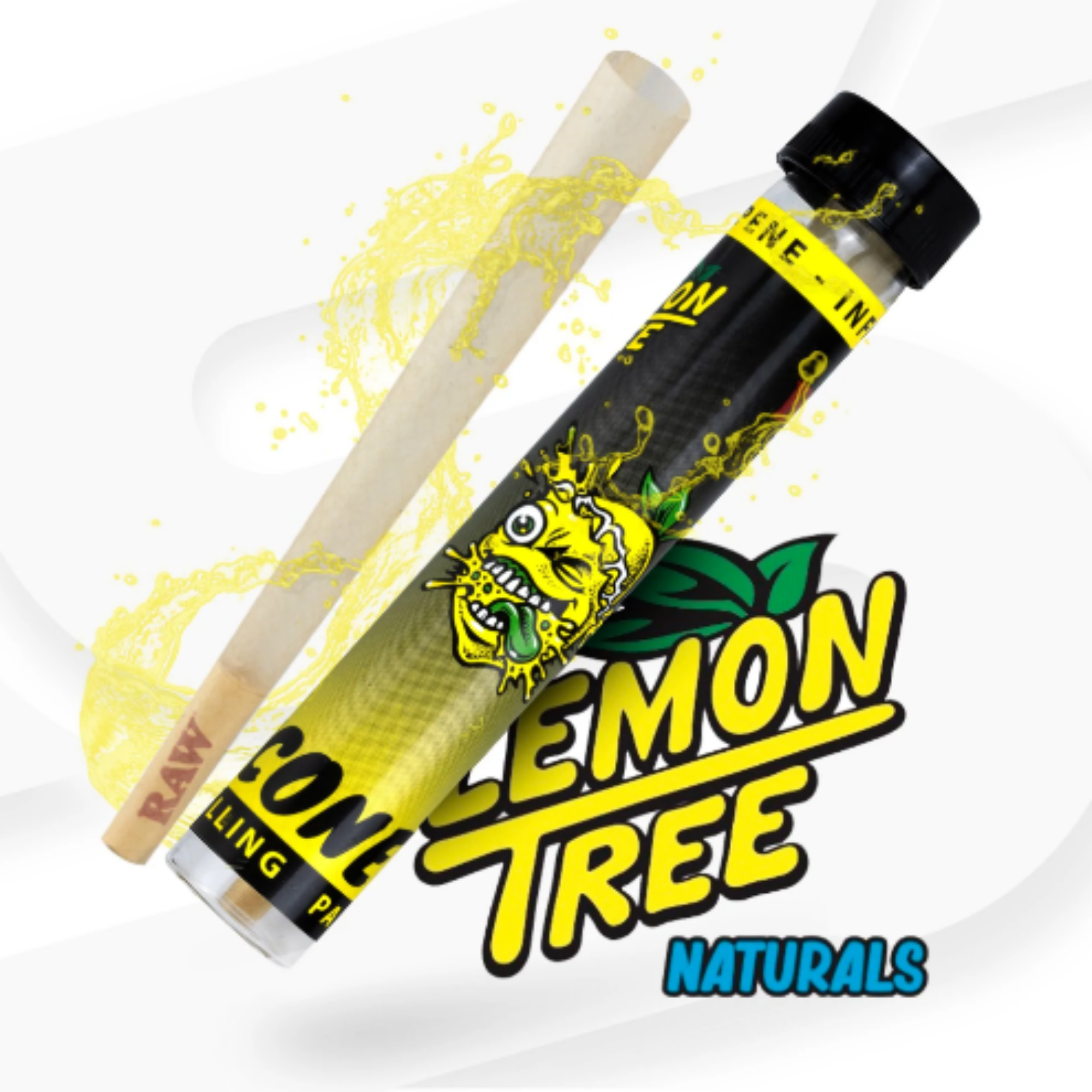 raw lemon tree cones review| matriarch.la